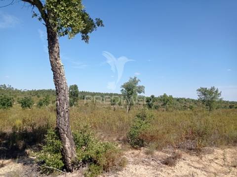 Herdade 44 hectares em margem, gavião