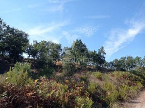 Herdade 44 hectares em margem, gavião