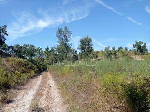 Herdade 44 hectares em margem, gavião