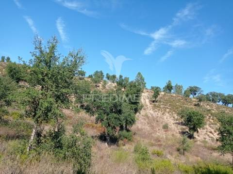Herdade 44 hectares em margem, gavião