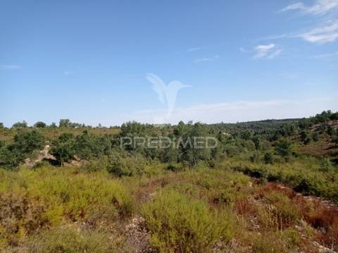 Herdade 44 hectares em margem, gavião