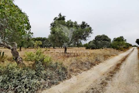 Terreno rústico em alto da chã - alcanena!