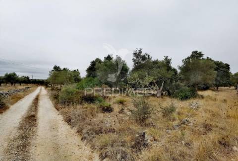 Terreno rústico em alto da chã - alcanena!