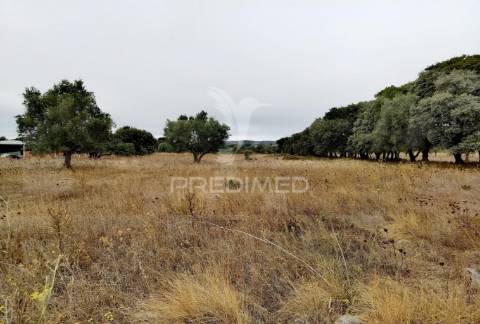 Terreno rústico em alto da chã - alcanena!