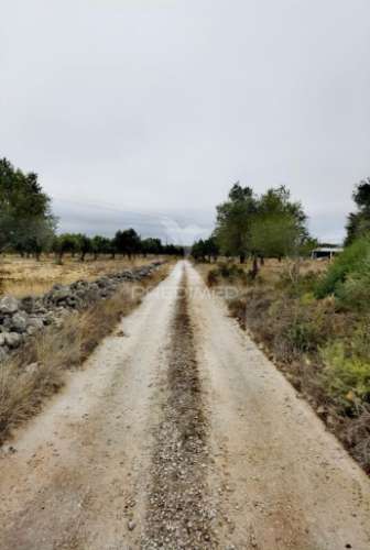 Terreno rústico em alto da chã - alcanena!