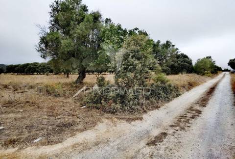 Terreno rústico em alto da chã - alcanena!