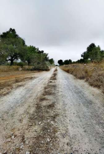 Terreno rústico em alto da chã - alcanena!