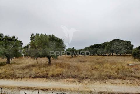 Terreno rústico em alto da chã - alcanena!
