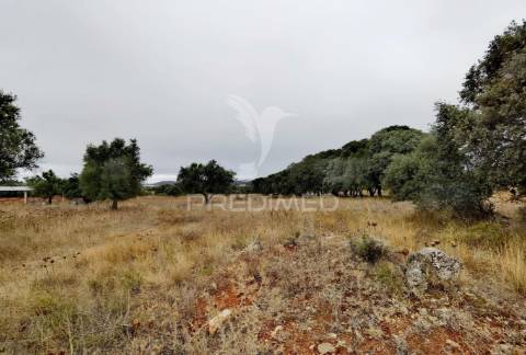Terreno rústico em alto da chã - alcanena!