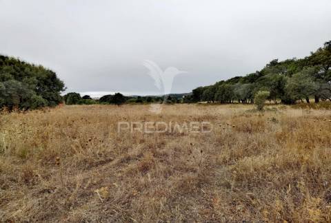 Terreno rústico em alto da chã - alcanena!