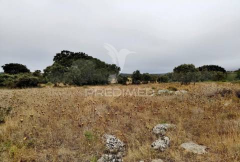 Terreno rústico em alto da chã - alcanena!