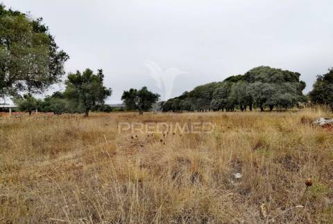 Terreno rústico em alto da chã - alcanena!