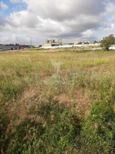 Terreno misto vila chã de ourique / cartaxo