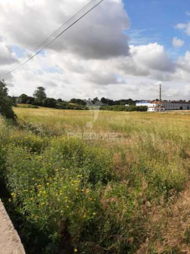 Terreno misto vila chã de ourique / cartaxo