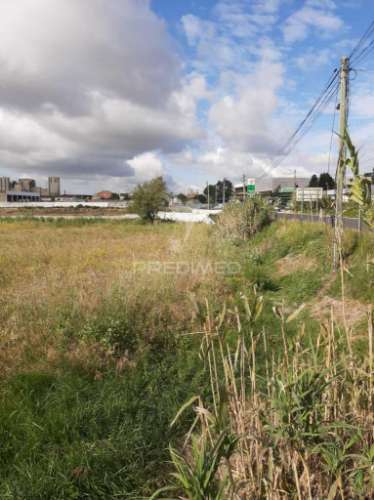 Terreno misto vila chã de ourique / cartaxo