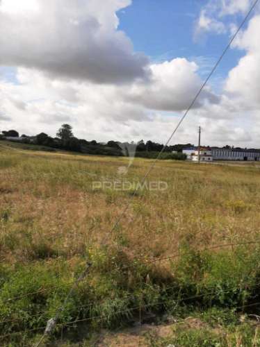 Terreno misto vila chã de ourique / cartaxo