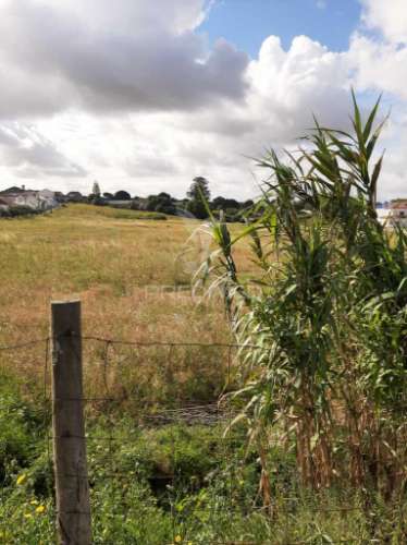 Terreno misto vila chã de ourique / cartaxo