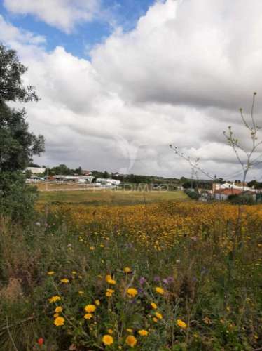 Terreno misto vila chã de ourique / cartaxo