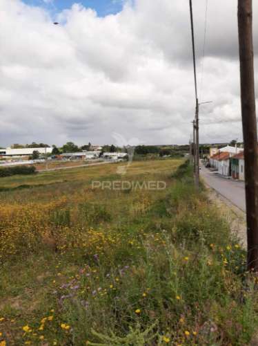 Terreno misto vila chã de ourique / cartaxo