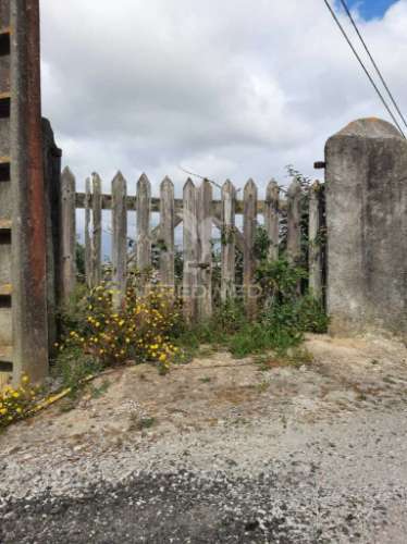 Terreno misto vila chã de ourique / cartaxo