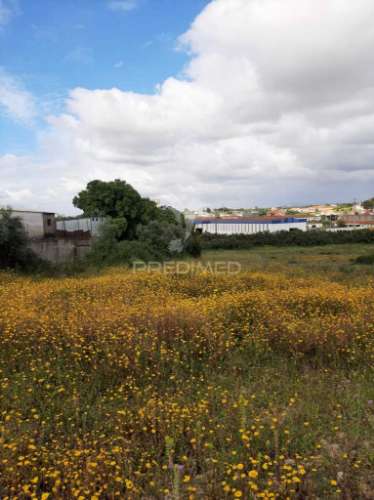 Terreno misto vila chã de ourique / cartaxo