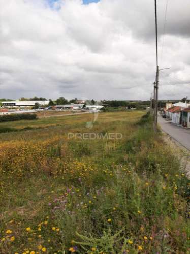 Terreno misto vila chã de ourique / cartaxo