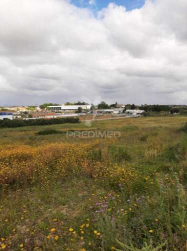 Terreno misto vila chã de ourique / cartaxo