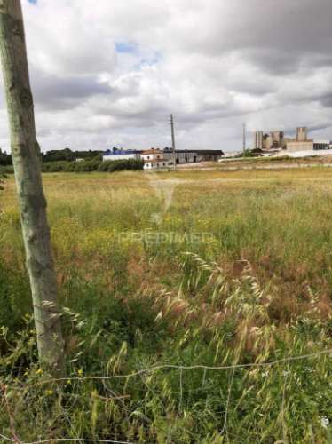 Terreno misto vila chã de ourique / cartaxo