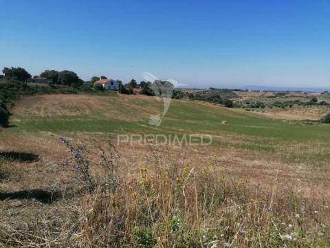 Terreno rústico abitureiras