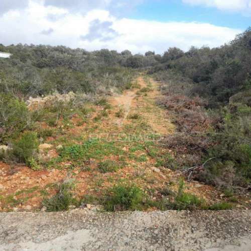 Terreno rustico  localizado a 3 km  do estoi