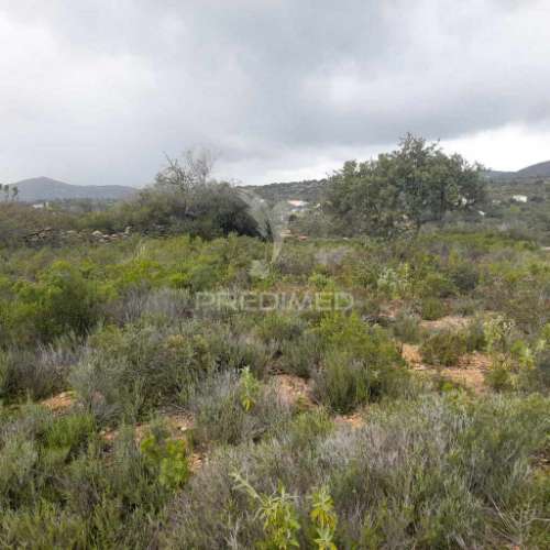 Terreno rustico  localizado a 3 km  do estoi