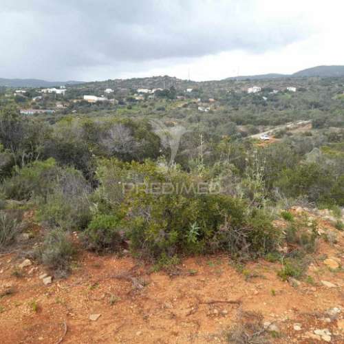 Terreno rustico  localizado a 3 km  do estoi