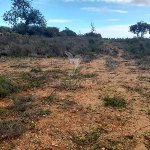 Terreno rustico  localizado a 3 km  do estoi