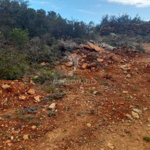 Terreno rustico  localizado a 3 km  do estoi