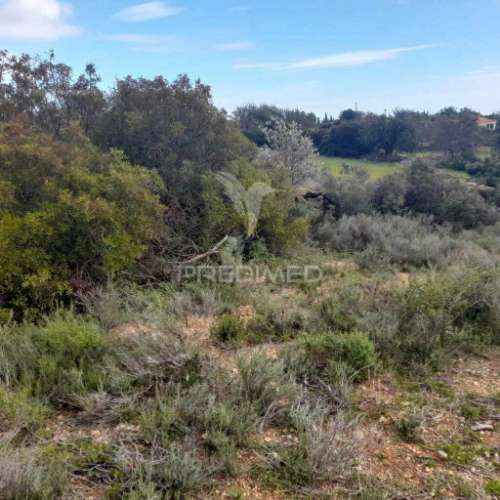 Terreno rustico  localizado a 3 km  do estoi