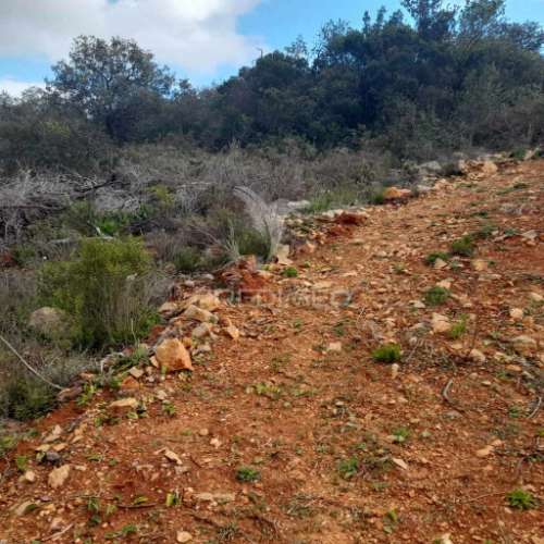 Terreno rustico  localizado a 3 km  do estoi
