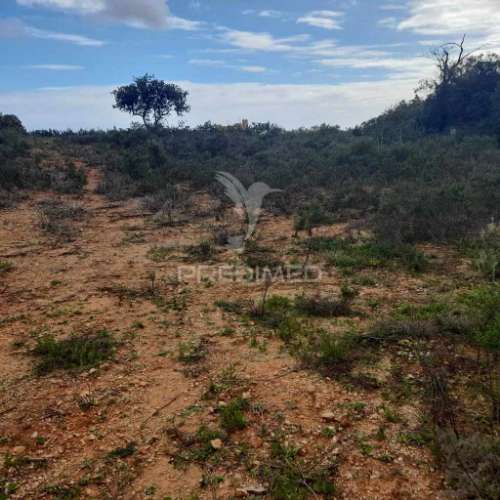 Terreno rustico  localizado a 3 km  do estoi