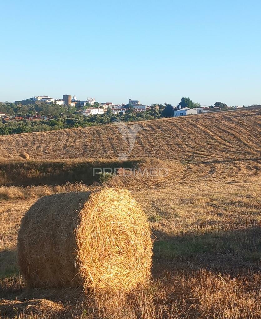 Terreno misto