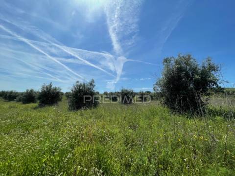 Terreno perto da vila de avis
