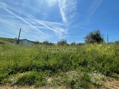 Terreno perto da vila de avis