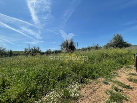 Terreno perto da vila de avis