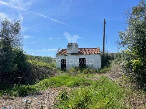 Terreno perto da vila de avis