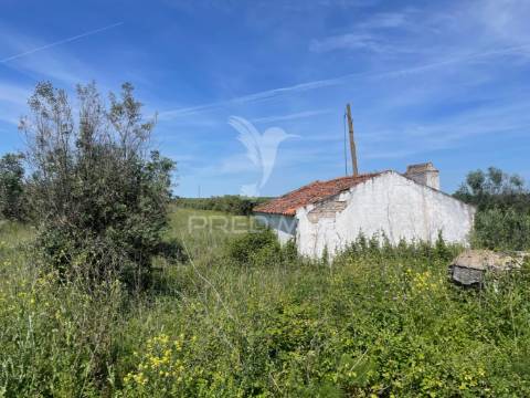Terreno perto da vila de avis
