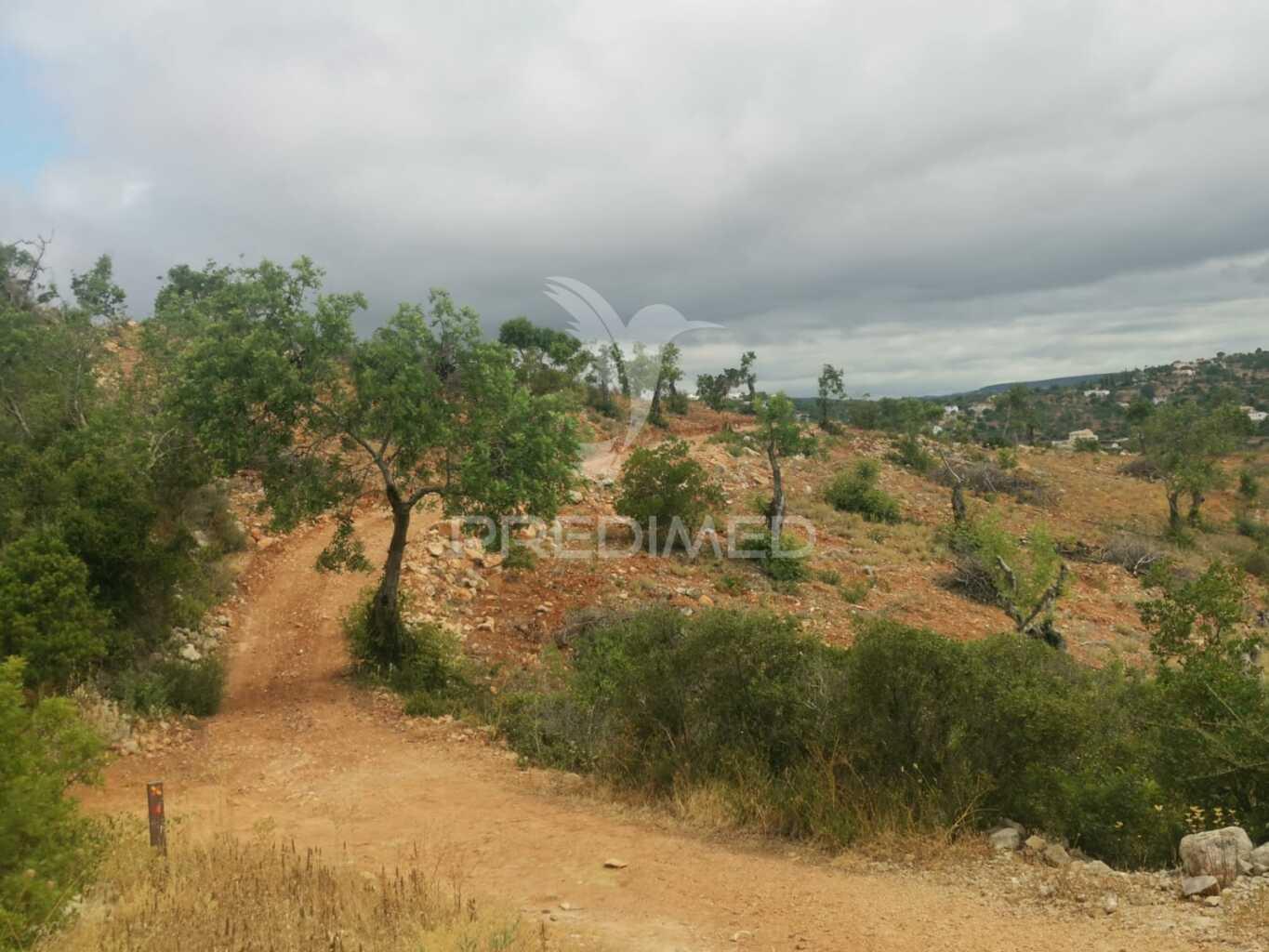 Terreno misto perfeito para a sua casa de sonho