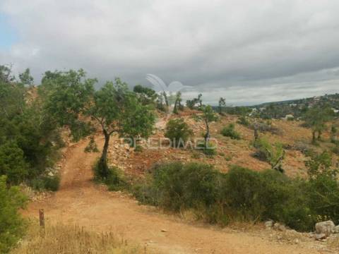 Terreno misto perfeito para a sua casa de sonho