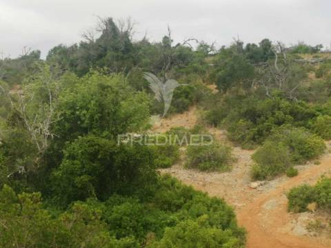 Terreno misto perfeito para a sua casa de sonho