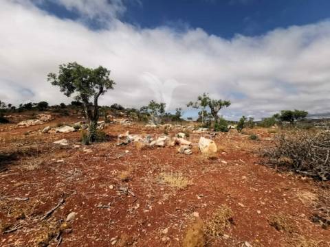 Terreno misto perfeito para a sua casa de sonho