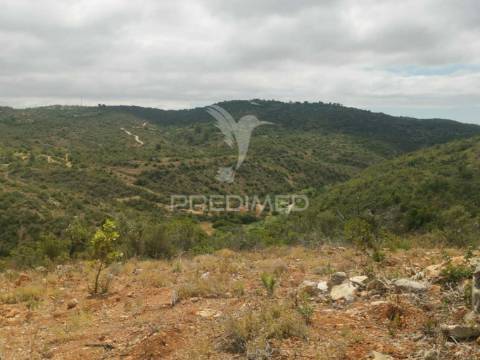 Terreno misto perfeito para a sua casa de sonho