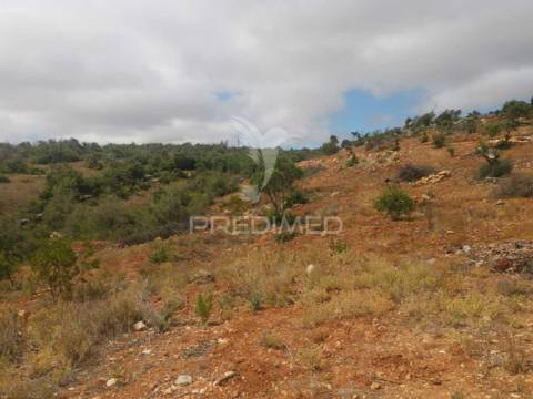 Terreno misto perfeito para a sua casa de sonho