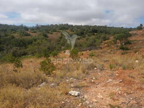 Terreno misto perfeito para a sua casa de sonho